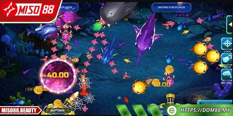 Chiến thuật chuẩn xác giúp tối đa phần thưởng lớn