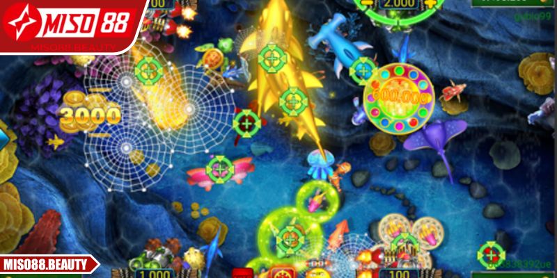 Chọn phòng phù hợp giúp săn nhiều sinh vật biển hiệu quả hơn