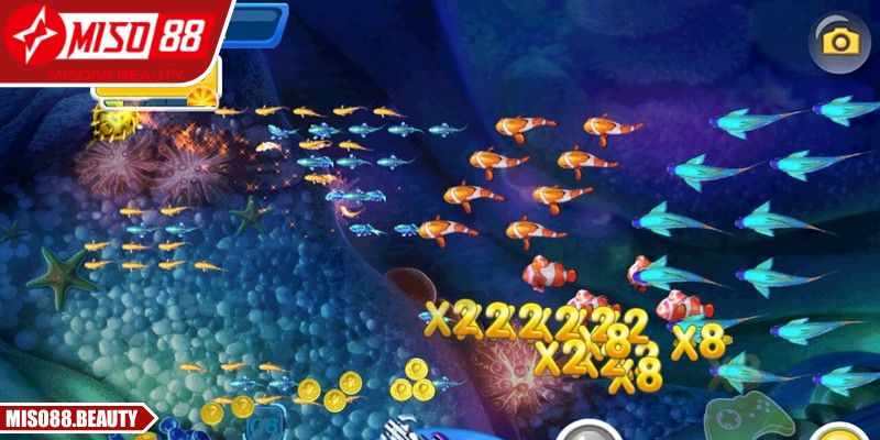  Hòa mình vào thế giới biển sâu đầy sinh vật thưởng cực lớn
