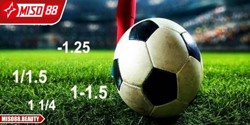 Chiến thuật phân tích thông minh kiểm soát tỷ lệ hiệu quả