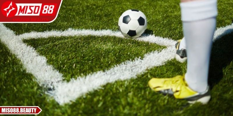 Nền tảng minh bạch và hệ thống dữ liệu thời gian thực