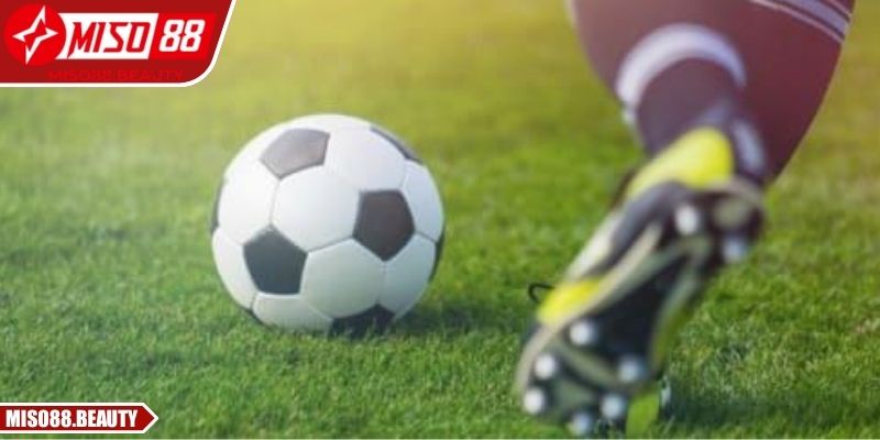 Kèo nhà cái Miso88 chuẩn xác cùng bảng dữ liệu chuyên sâu
