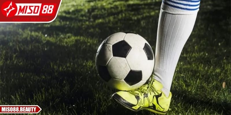 Tận dụng công cụ hiển thị thông minh nâng hiệu quả dự đoán